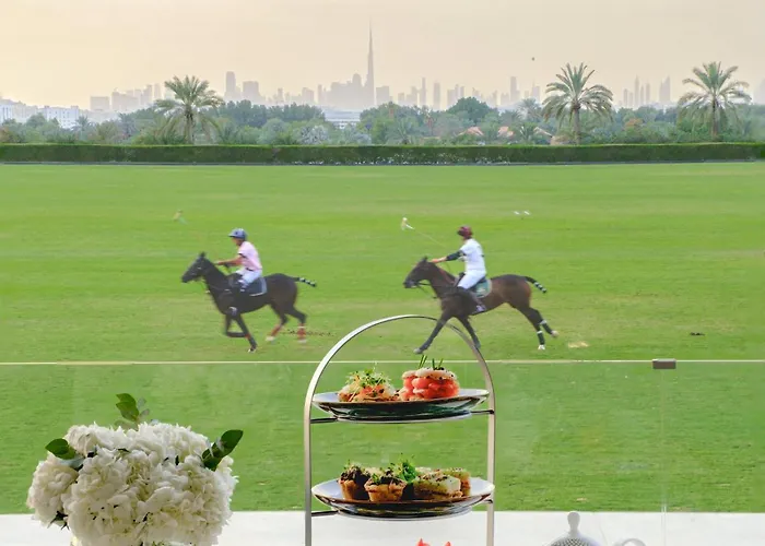 Melia Desert Palm Member Of Melia Collection